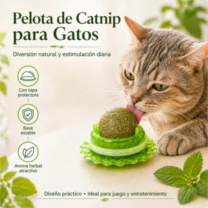Catnip 🐱🧶