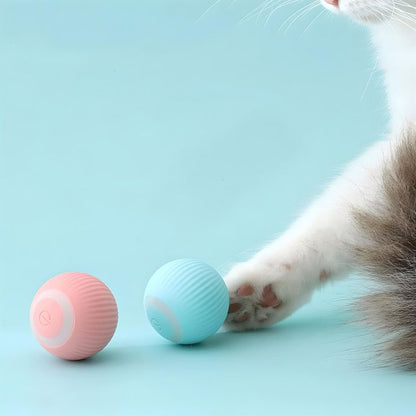 Pelota para gato 🐱